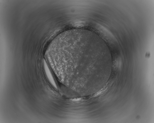 X0000097290180200803141518