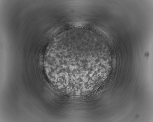 X0000097290181200803141518