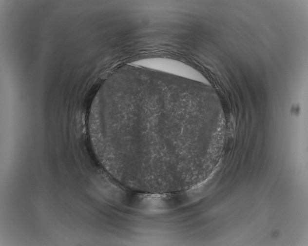 X0000097290182200803141518