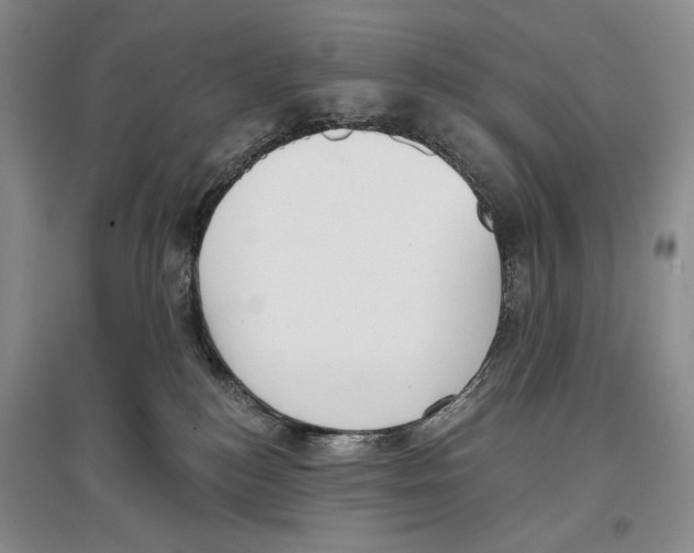X0000097290184200803141518