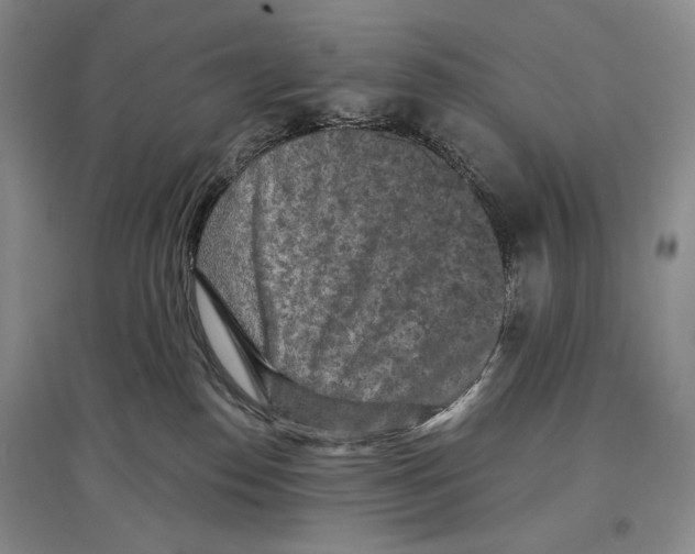 X0000097290186200803141518
