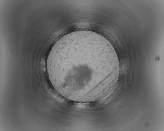 X0000097290187200803141518