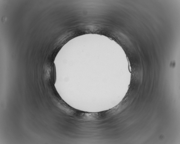 X0000097290188200803141519
