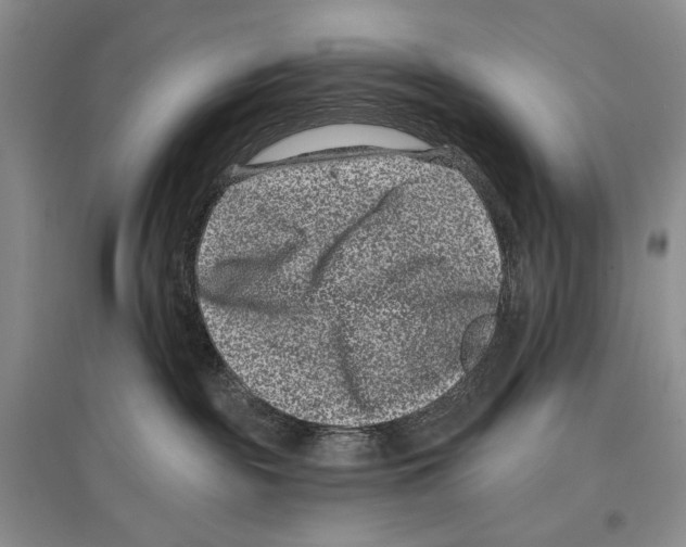 X0000097290189200803141519