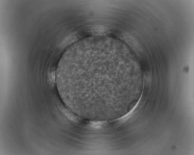X0000097290190200803141519
