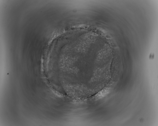 X0000097290192200803141519