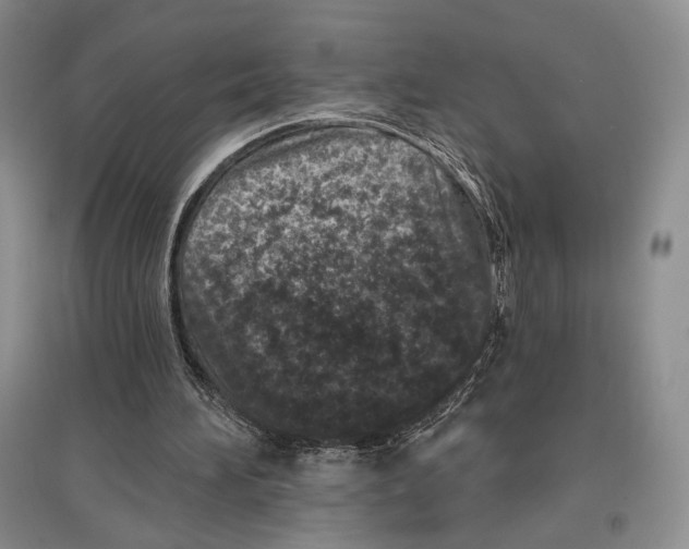 X0000097290196200803141518