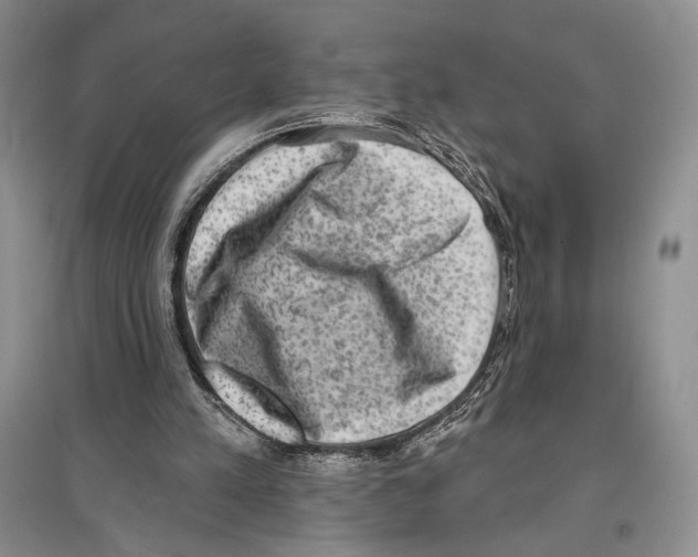 X0000097290197200803141518