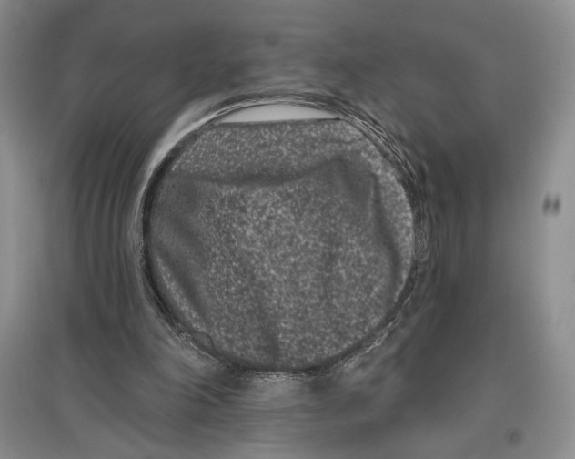 X0000097290198200803141518