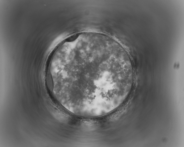 X0000097290199200803141518