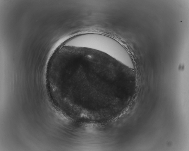 X0000097290200200803141518