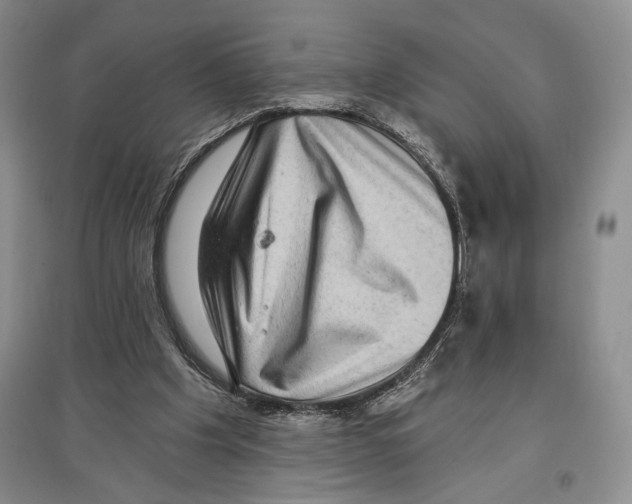 X0000097290201200803141518