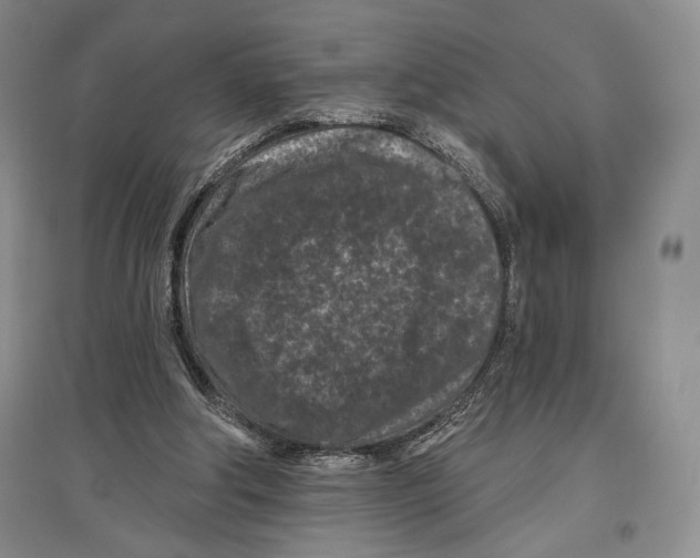 X0000097290202200803141518