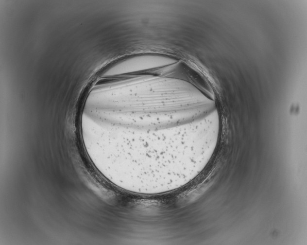 X0000097290203200803141518