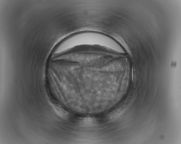 X0000097290204200803141518