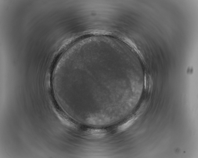 X0000097290205200803141518