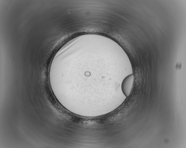 X0000097290208200803141518