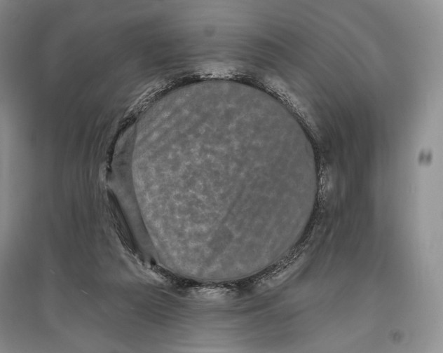 X0000097290209200803141518