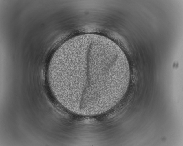X0000097290210200803141518