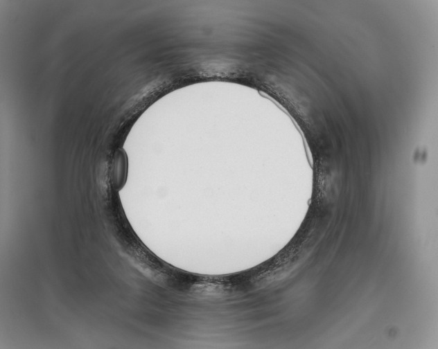 X0000097290211200803141518