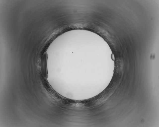 X0000097290212200803141518