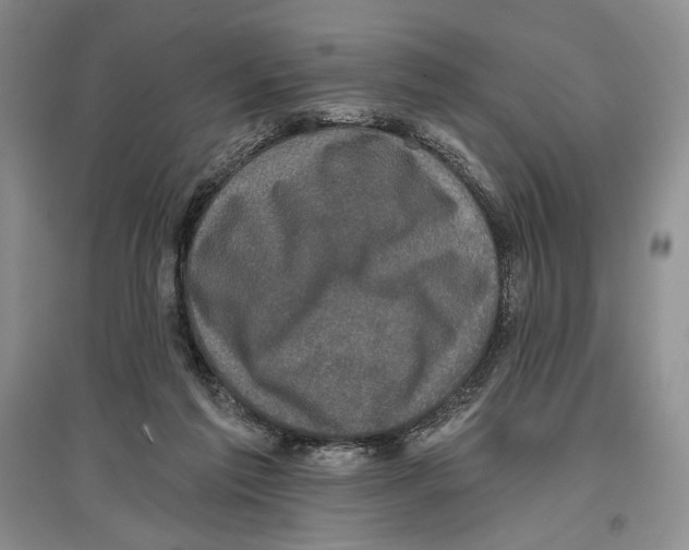 X0000097290213200803141518