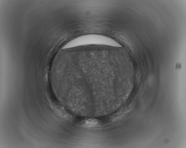 X0000097290214200803141518