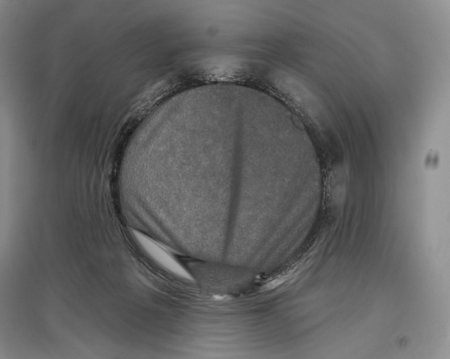 X0000097290217200803141518