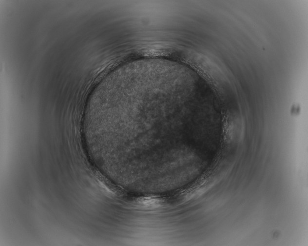X0000097290219200803141518