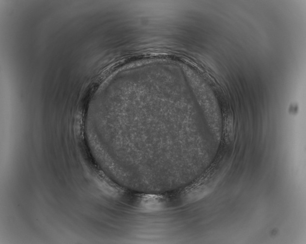 X0000097290222200803141518