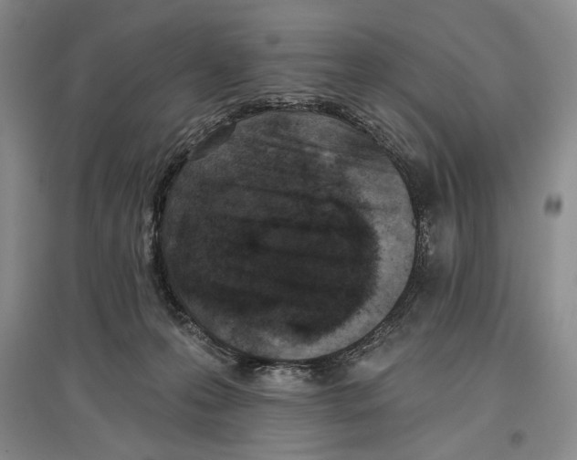 X0000097290223200803141517