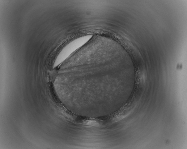 X0000097290224200803141517