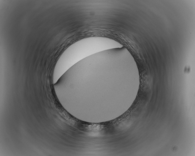 X0000097290225200803141517