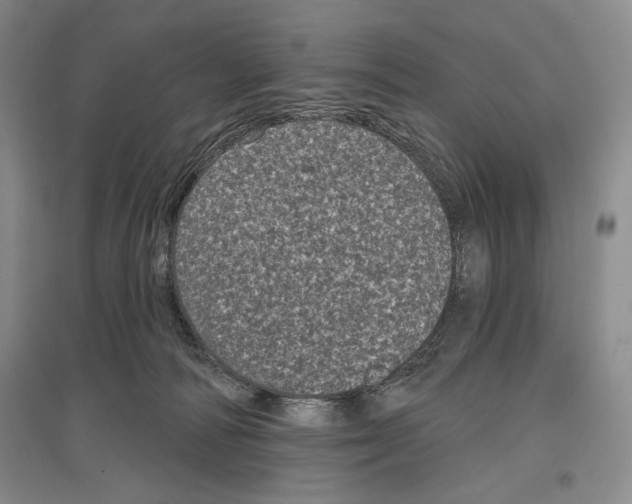 X0000097290226200803141517