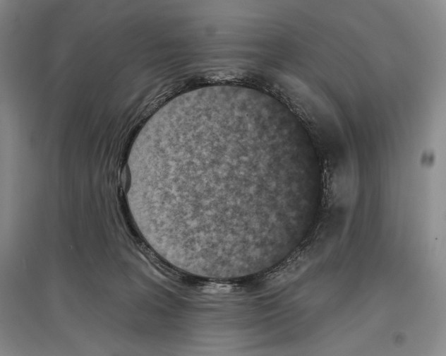 X0000097290227200803141517