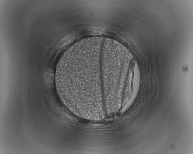 X0000097290228200803141517