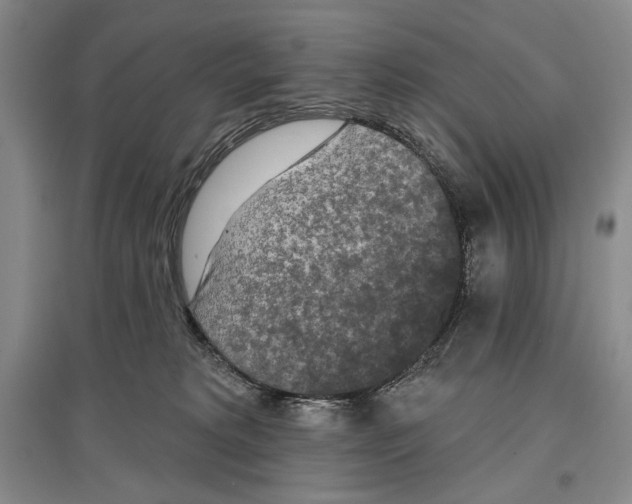 X0000097290229200803141517