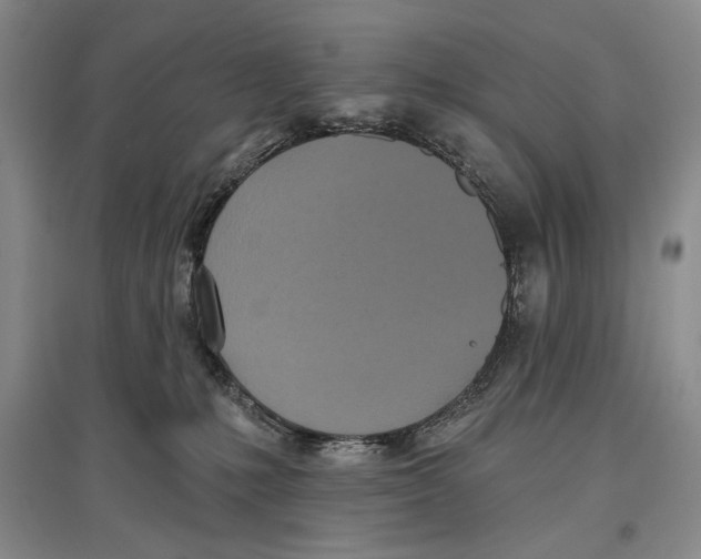 X0000097290231200803141517