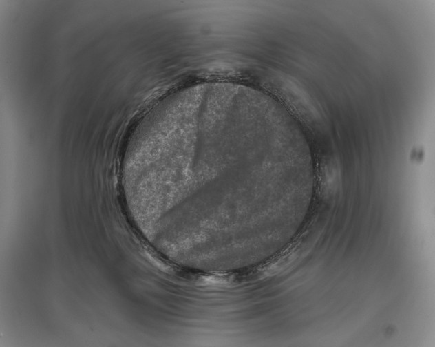 X0000097290232200803141517