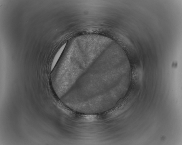 X0000097290233200803141517