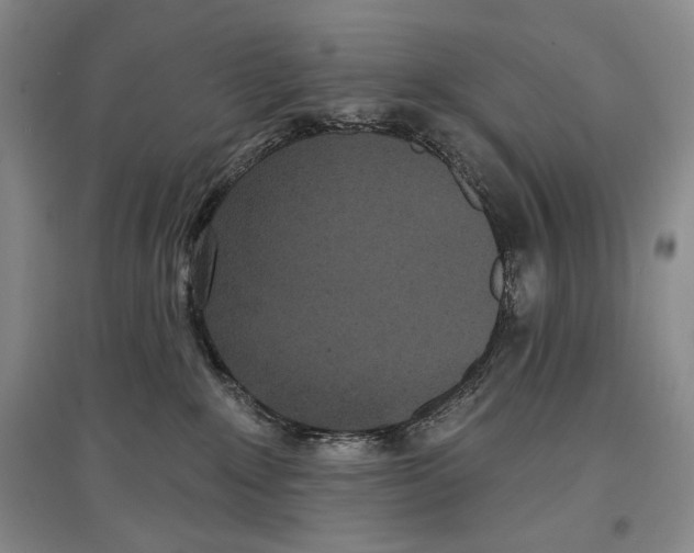 X0000097290235200803141517