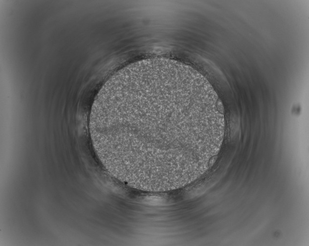 X0000097290236200803141517