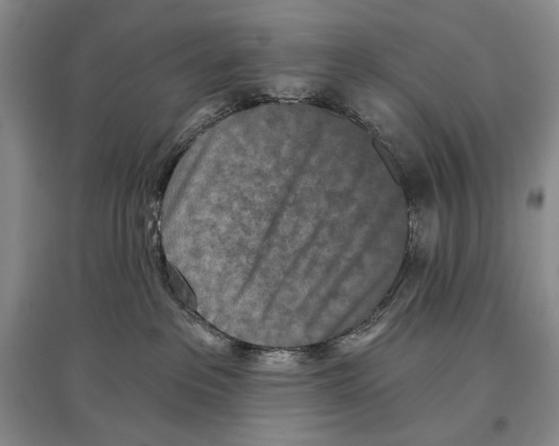 X0000097290237200803141517