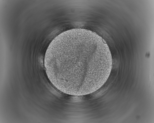 X0000097290238200803141517