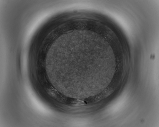 X0000097290239200803141517