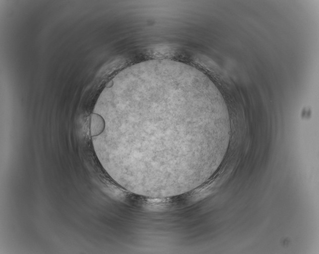 X0000097290240200803141517