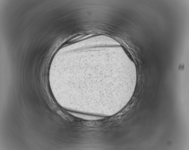 X0000097290241200803141516