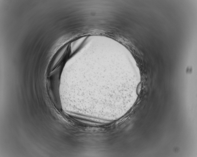 X0000097290242200803141516