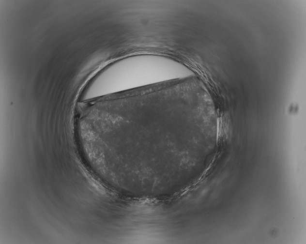 X0000097290243200803141516
