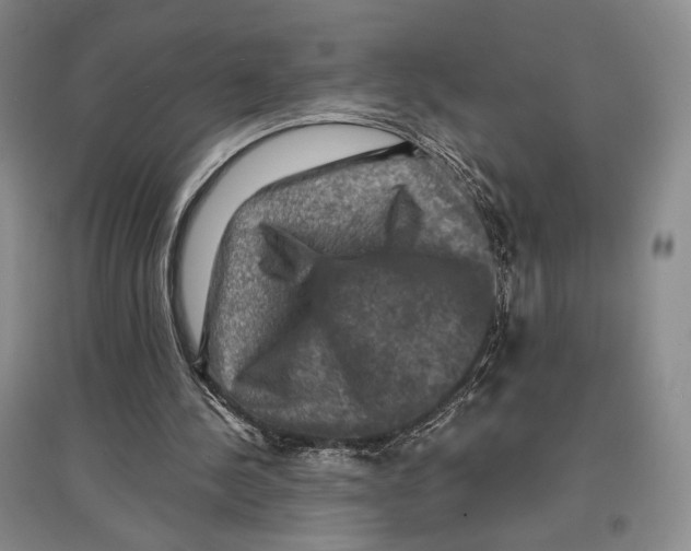 X0000097290244200803141516